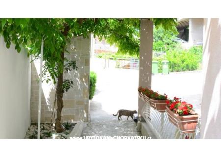 Apartamenty Vodanović foto 2