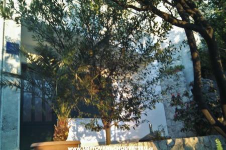 Apartamenty Brusje foto 2