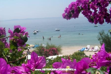 Apartamenty Petar Vlašić Podstrana Chorwacja