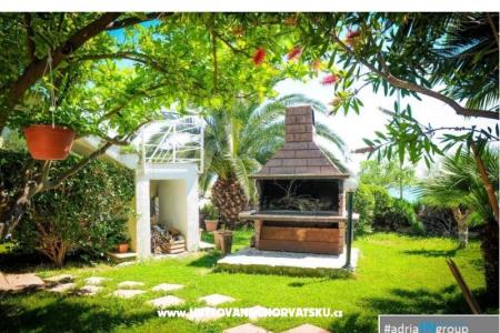 Apartamenty Antonia foto 5