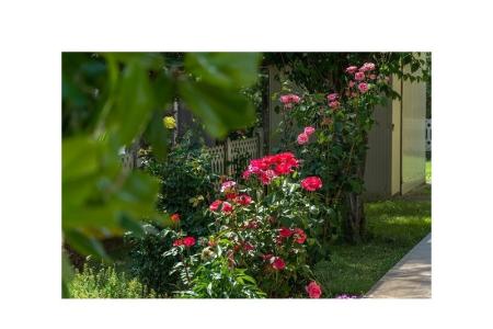 Apartamenty Stanic foto 5