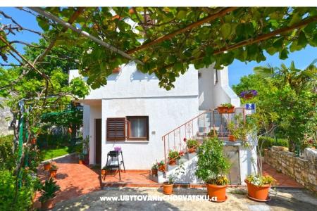 Apartamenty Danica foto 4