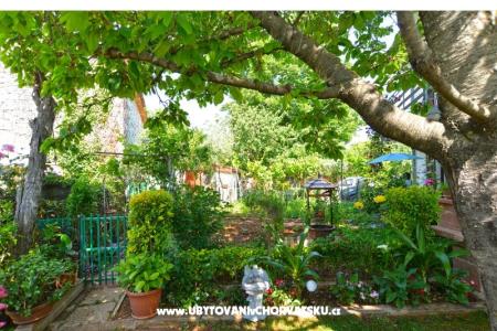 Apartamenty Danica foto 5