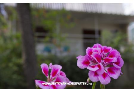 Apartamenty Porat - PRIMOŠTEN foto 2