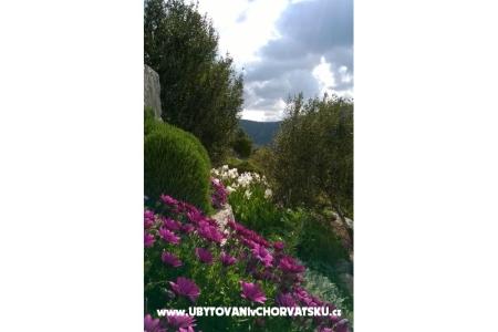 Apartamenty   Luka foto 5