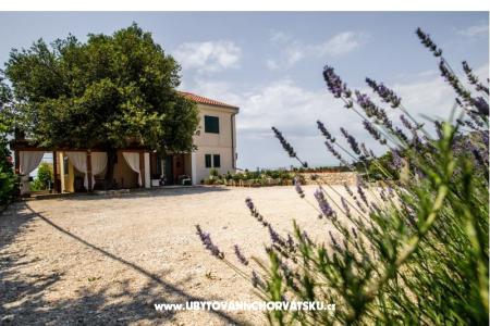 Apartamenty Andreja Primosten Chorwacja