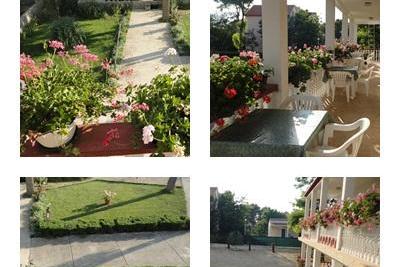 Apartamenty Ankica foto 5