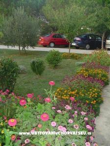 Apartamenty Mare & Berto foto 2