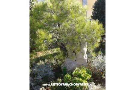 Apartamenty Mare & Berto foto 4