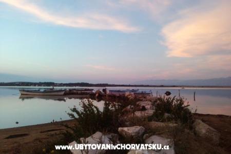 Apartamenty Vid foto 3