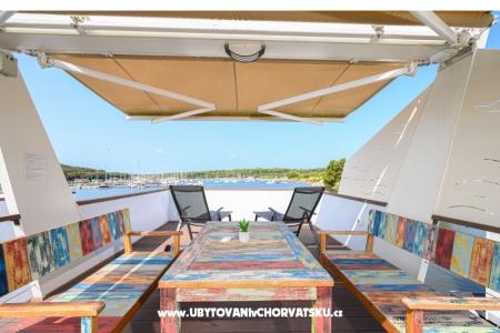 Dom boat Water lily foto 3