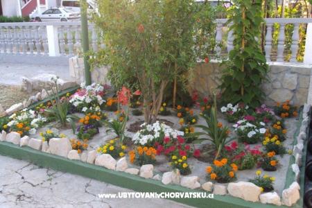 Apartamenty Ancy foto 3