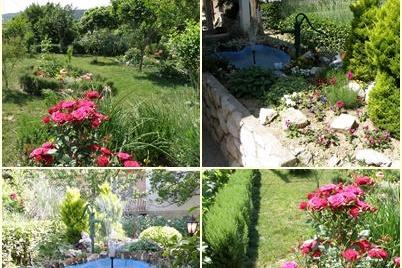 Apartamenty Skoblar Holiday-Rab foto 2