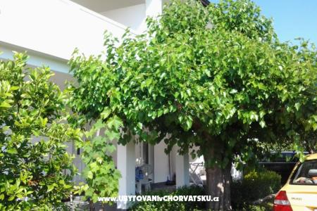 Apartamenty Snjezana wyspa Rab Chorwacja