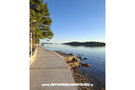 Apartamenty Palit Rab foto 4