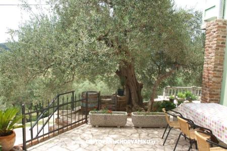 Apartamenty Dumičić foto 2