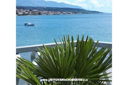 La Gatta Apartamenty foto 3