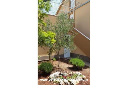 Apartamenty Pejo foto 4