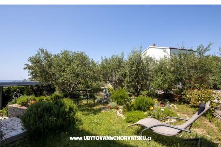 Apartamenty Vido i Nada foto 5