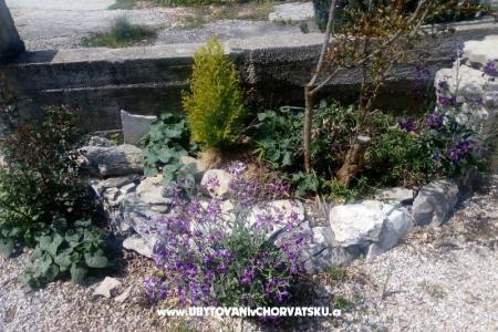 Apartamenty Ercegovic foto 4