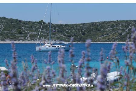 Apartamenty Blazevic Rogoznica Chorwacja