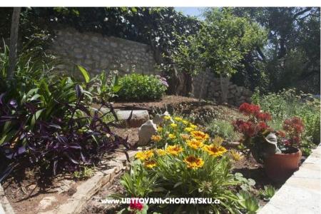 Apartamenty Miro foto 3