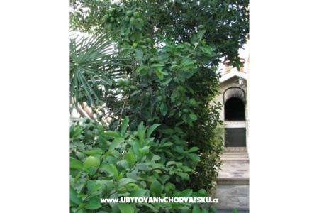 Apartamenty Villa Milakovic foto 4