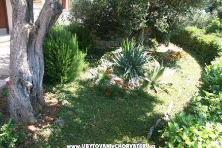 Santa Chiara Apartamenty foto 5