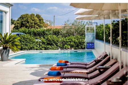 Apartamenty Kimi with swimming pool  Rovinj Chorwacja
