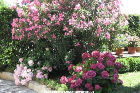 Apartamenty Ida &amp; Sandra foto 2