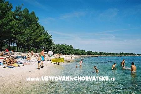 Family Dom Ivancevic foto 5