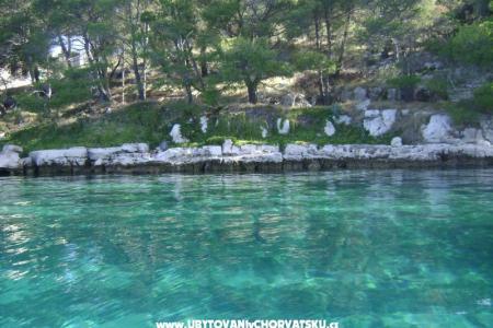 Apartamenty - Otok Lavdara foto 2