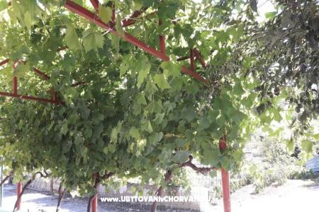 Apartament Stara kuća  foto 3