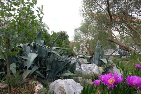 Apartamenty Vlado foto 4