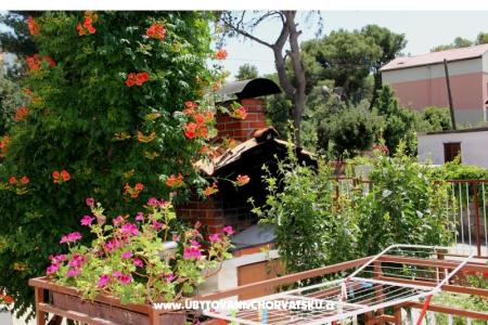 Apartamenty Marija i Toni foto 4