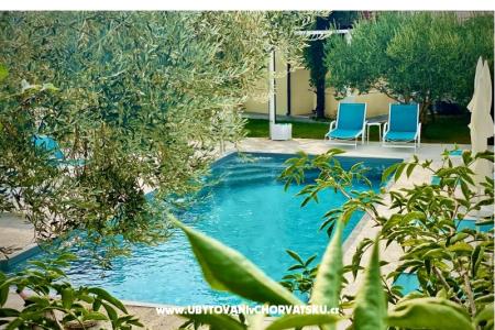 Villa Dube Slano/ villa z basenem foto 4
