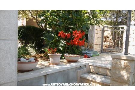 Apartamenty Nikola foto 5