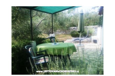 Apartamenty Oliva - Otok Šolta foto 3