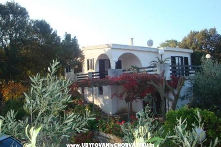 Villa Bepina wyspa Solta Chorwacja