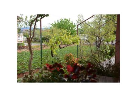 Apartamenty Peričić foto 3