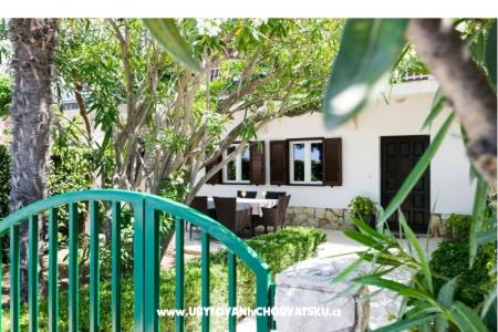 Holiday Dom More  foto 5