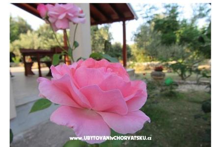 Dom wakacyjny Dević foto 2