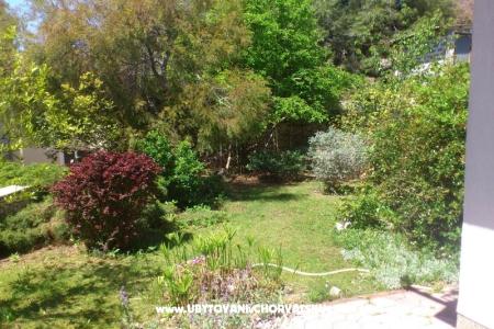 Apartamenty Ivic foto 3