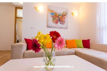 Luxury Apartament Leda  foto 4