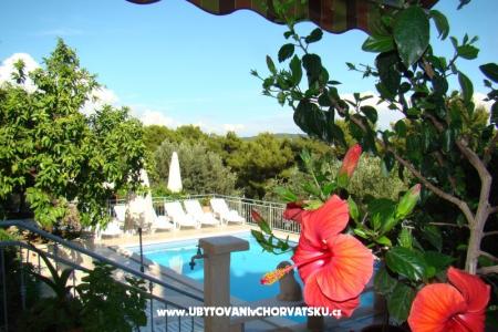 Apartamenty Zgogo foto 4