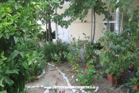 Dom wakacyjny Villa Marija foto 4