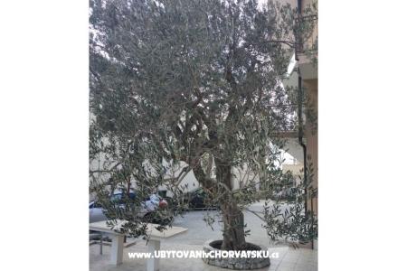 Apartamenty Mena foto 4