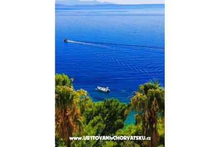 Apartamenty Malina i Krsto foto 5