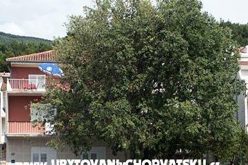 Apartamenty Maja Sevelj foto 2