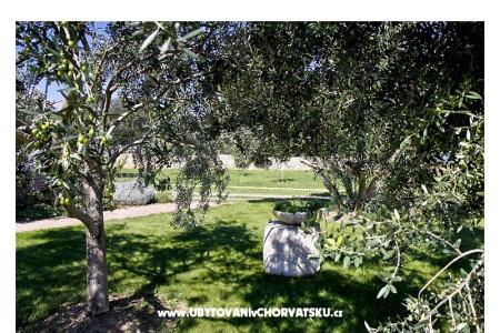 Apartamenty Benic foto 5